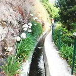 Апартаменты Lindo