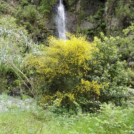 Lägenhet Lindo Ponta do Sol (Madeira)